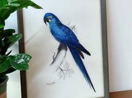 蓝色金刚鹦鹉超写实刺绣仅此一款