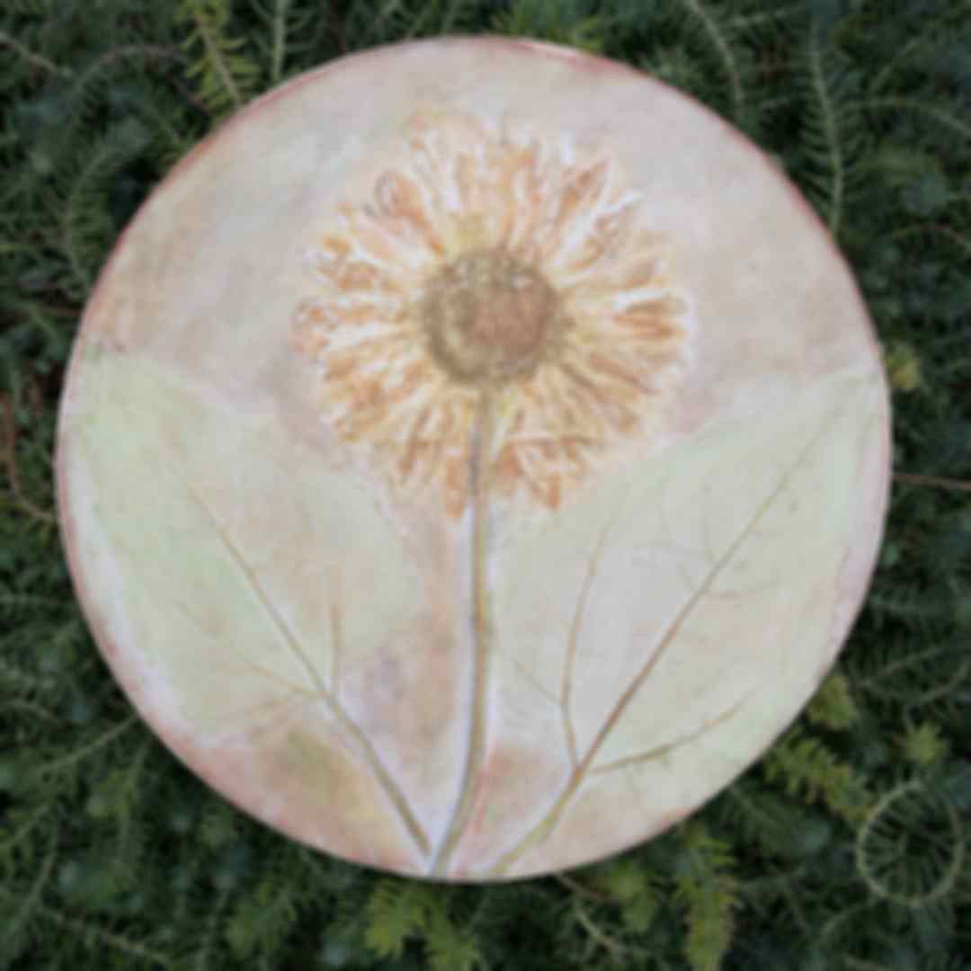 独特的石膏粘土植物拓画 留下植物最美的样子 Kiinii App