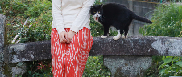 MAITO / 真糸：日本制造的草木染色纺织品牌