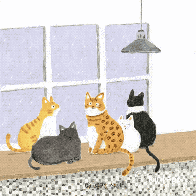 不管黑猫白猫 只要是猫就该被爱 韩国插画师raso 笔下生动而有趣的猫猫 Kiinii App