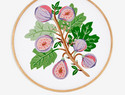 DIY手工刺绣图纸模板下载：6款复古色调植物标本图案图纸模板下载（第一部分）