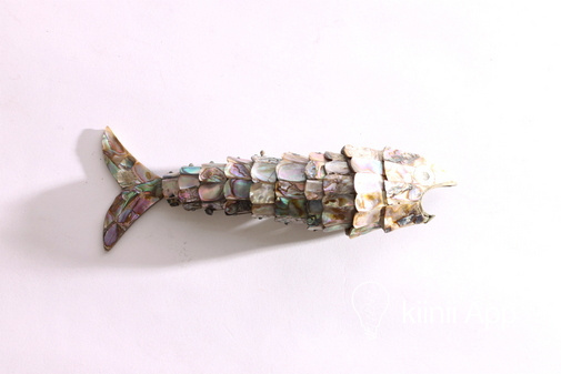 貝細工の魚 手工制作的漂亮贝壳小鱼装饰品 Kiinii App