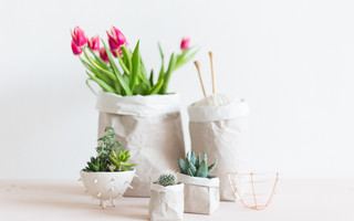 纸袋花盆DIY教程：折一个网红纸袋当花器，让植物也文艺起来！