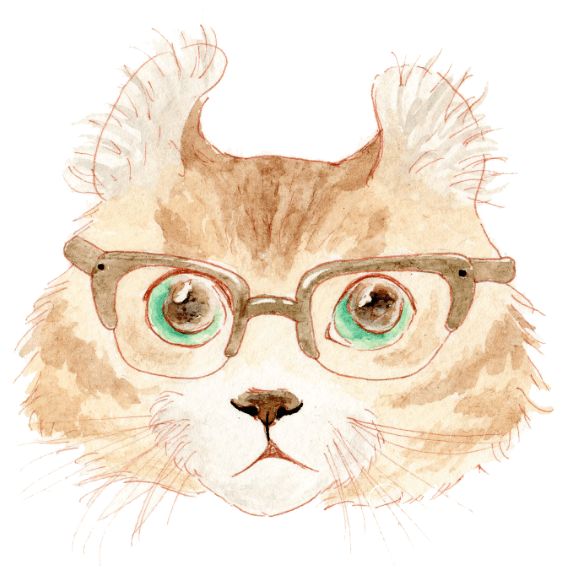 noryco戴眼镜的猫咪
