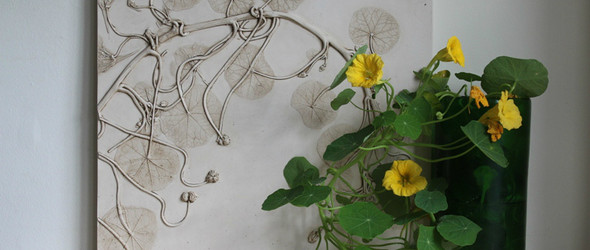 捕获自然：英国艺术家 Rachel Dein 花卉雕塑