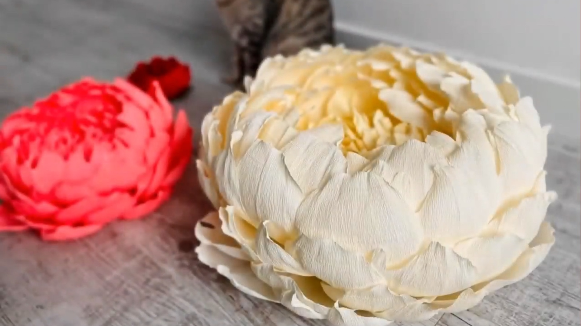 DIY手工制作巨型皱纹纸牡丹花视频教程 [Giant flower]