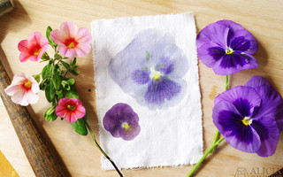 留住春天的色彩 - 自然花卉染色实验和diy教程