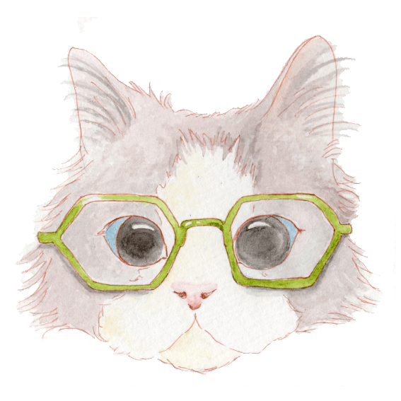 noryco戴眼镜的猫咪