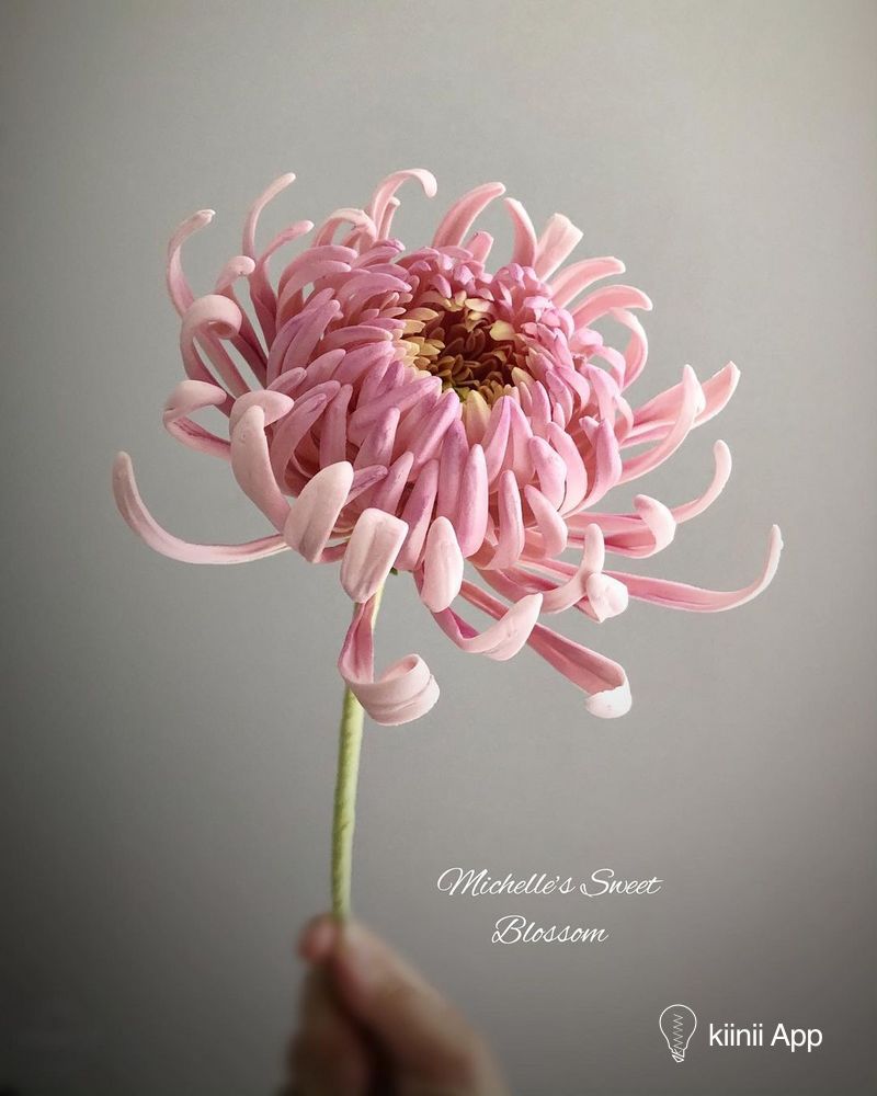 手工制作的人造粘土花朵 像真花一样的美丽 Kiinii App