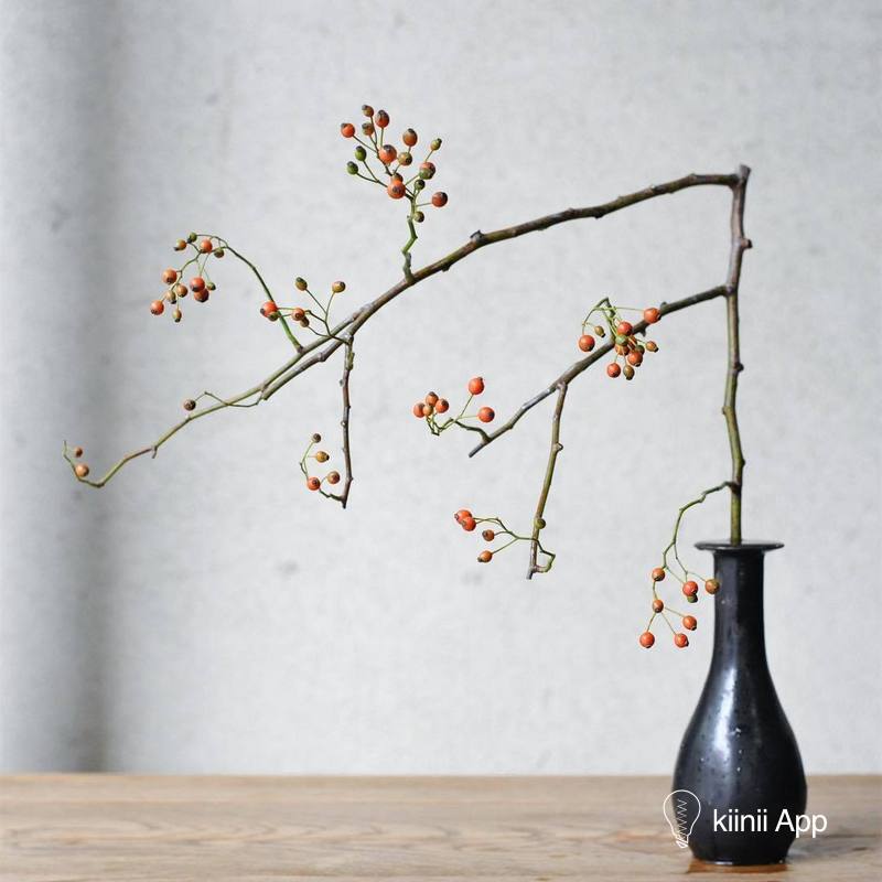 举重若轻的日本花道 日本花艺师渡来徹 Watarai Toru 的另类插花艺术 Kiinii App